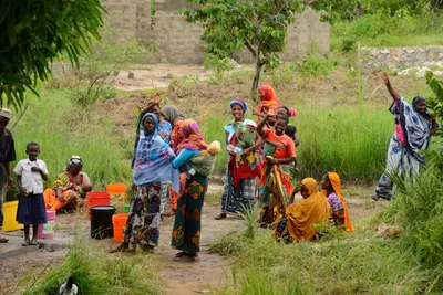 DSC_9592 (Large).JPG